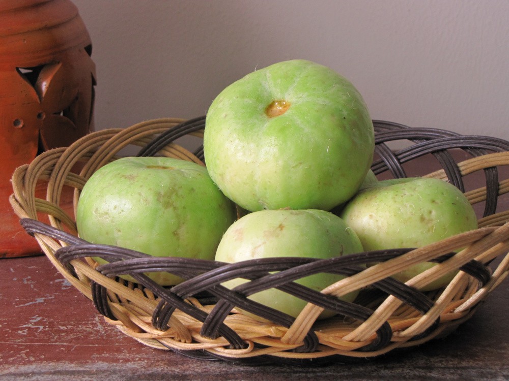 apple-gourds