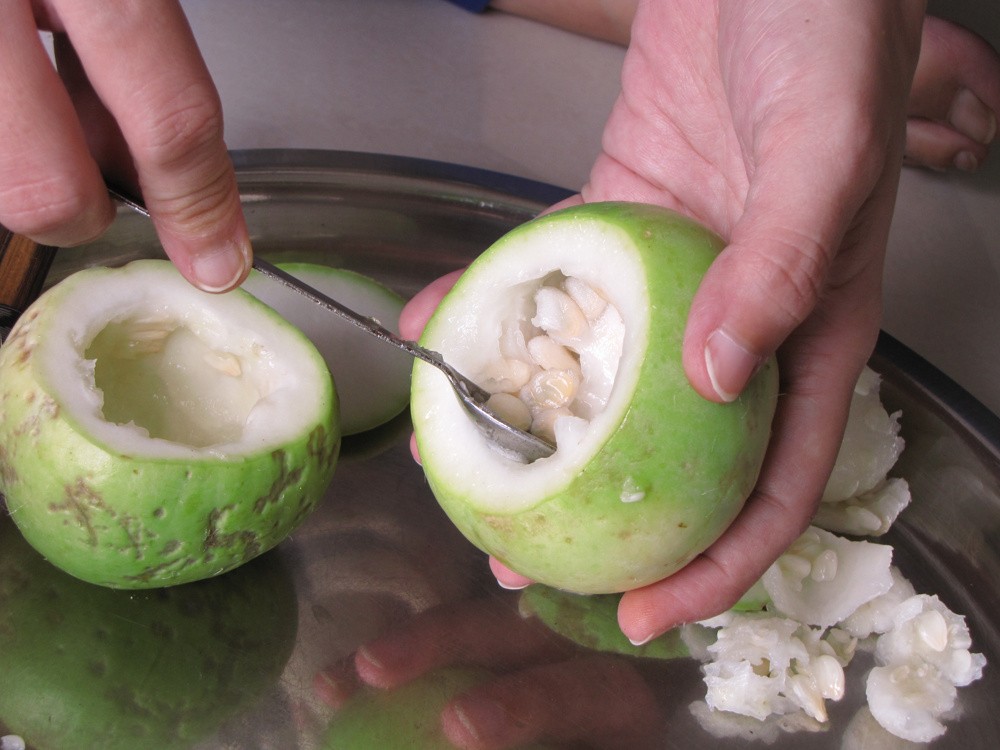 apple-gourds scooping