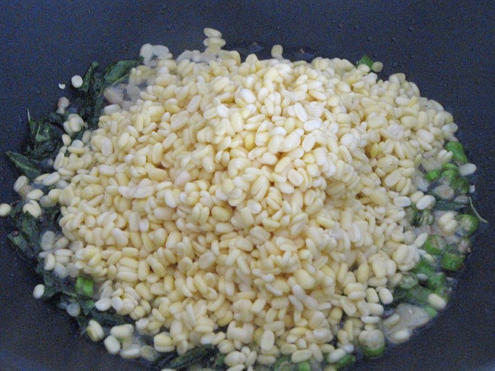apple-gourds recipe steps